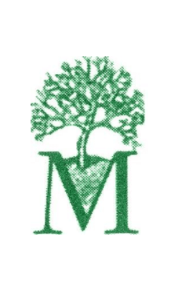 Massanutten Regional Governor's SchooL