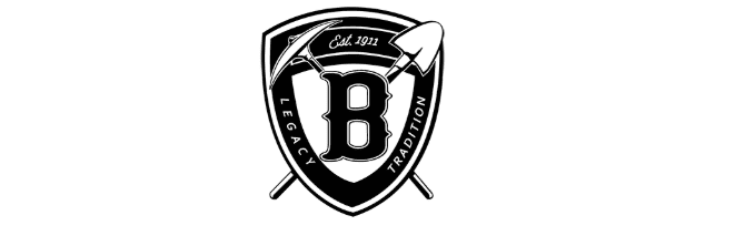 Bauxite Public Schools