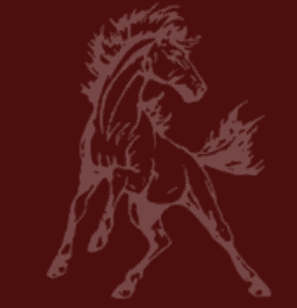 Shenandoah Community School District