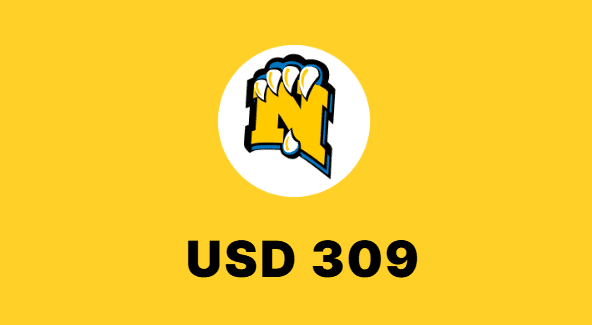 USD 309 calendar
