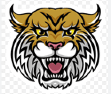 dumas school district