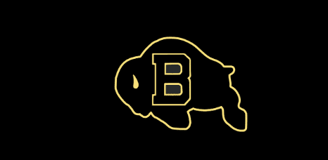 Buffalo High School