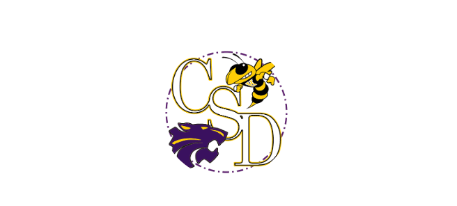 Custer School District 16-1