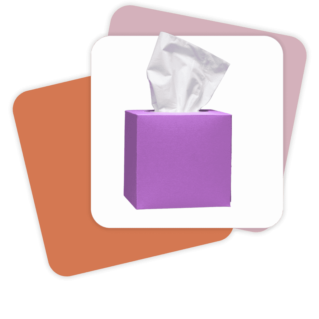 Tissues (1–2 boxes) – Keeps students prepared for everyday needs